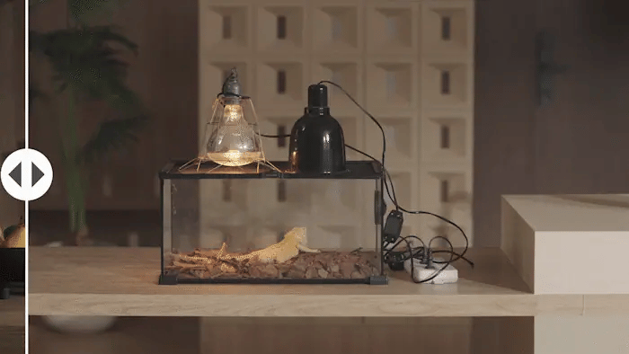 Animated comparison between a traditional reptile enclosure and XDen