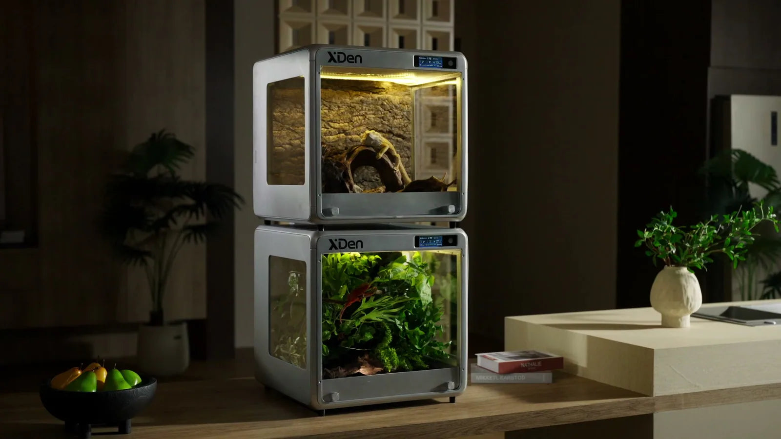 Two XDen habitats stacked vertically in a modern home